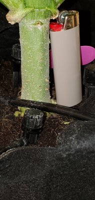 20201220_142920.jpg