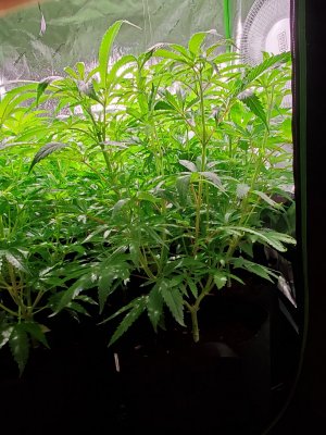 20201224_162901.jpg