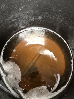 AD5EDBF8-1E60-4CF8-AA38-B32079846274.jpeg