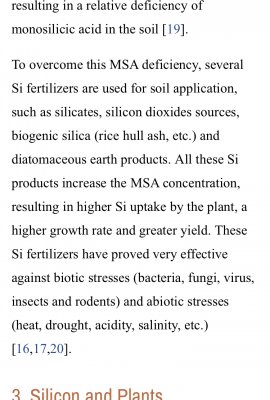 Silica gel beads