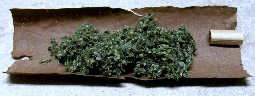 how-to-roll-a-dutch-master-blunt-20.jpg