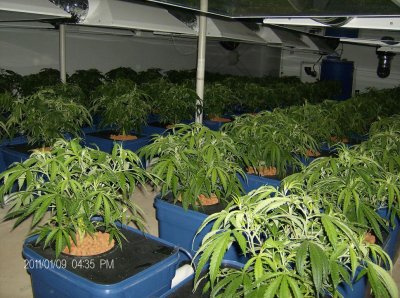 15kw-hydro-garden-7.jpg