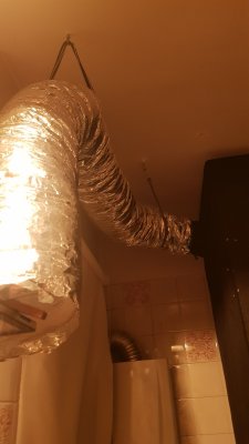 20210113_005413.jpg