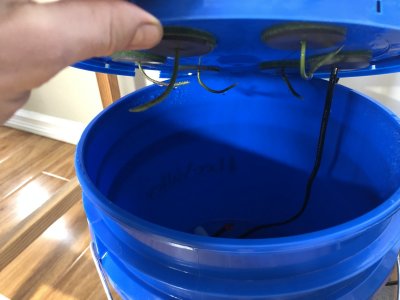 Aero cloner pro wanted !