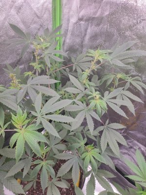Advice needed, what can I do?