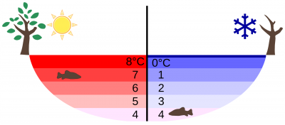 1920px-Anomalous_expansion_of_water_Summer_Winter.svg.png