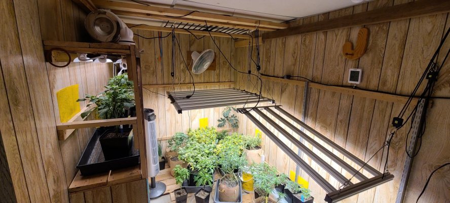 i-need-some-wisdom-to-help-cool-my-grow-room-2.jpg