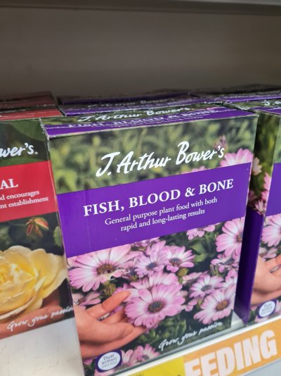 need-advice-on-nutrients-plz-2.jpg