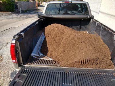 Potting mix.jpg
