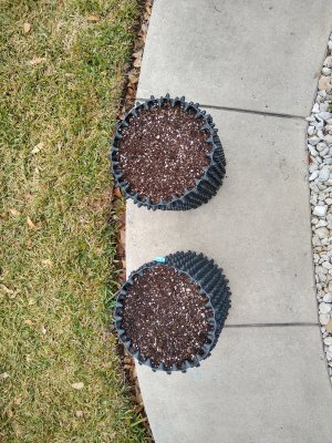 Filled Air pots.jpg