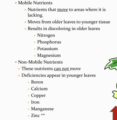 Calcium Deficiency? Nothing to worry about?