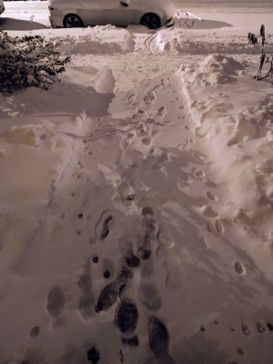 Captain's Log: Dispatches from Planet Milson
