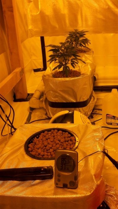 2011-01-14_14-58-38_905.jpg