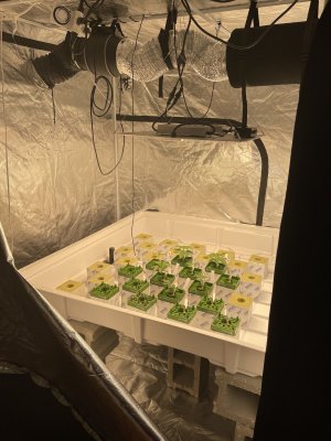 Any one tried New SONOFARM led lights