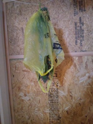 IMG_20210215_223645755.jpg