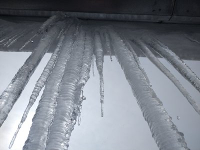 Captain's Log: Dispatches from Planet Milson