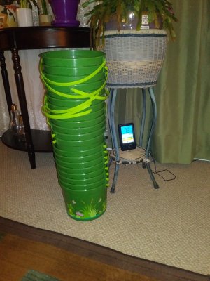 20210220_204134.jpg