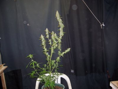 100_5190.JPG