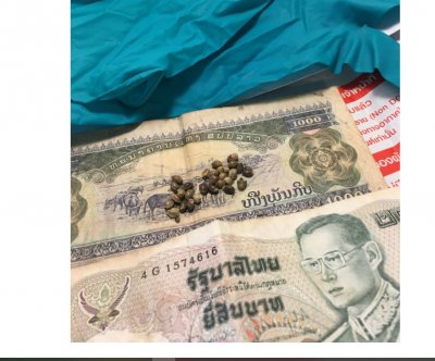 Thai strains - Copy.JPG