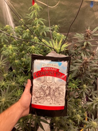 instant-compost-tea-from-mighty-plant.jpeg