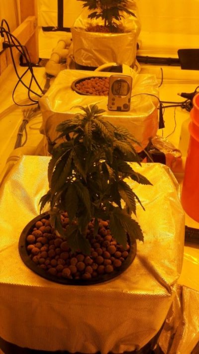 2011-01-16_15-16-35_468.jpg