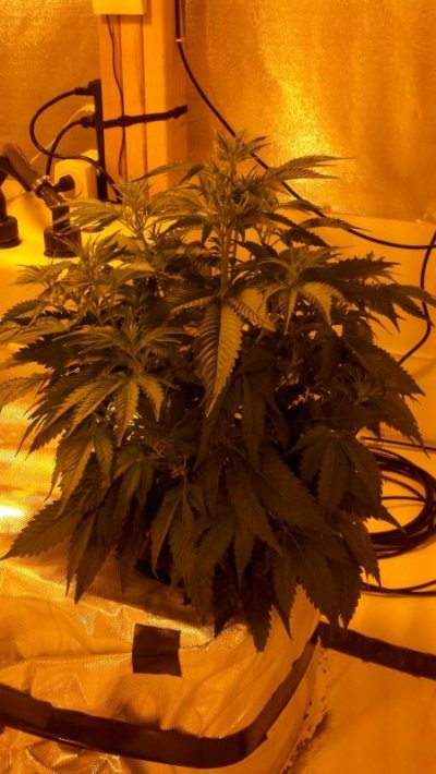 2011-01-19_08-10-39_231.jpg