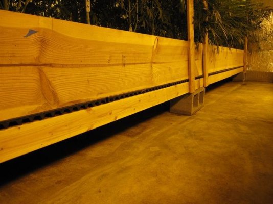 beds 001.JPG
