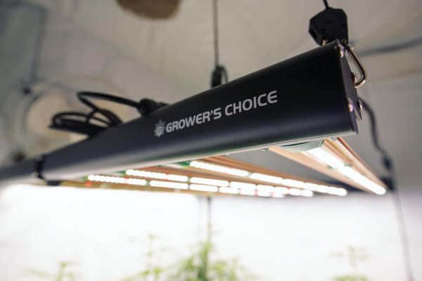 Growers Choice ROI-e720 & Momac Led NRG-SAVR 640 side by side