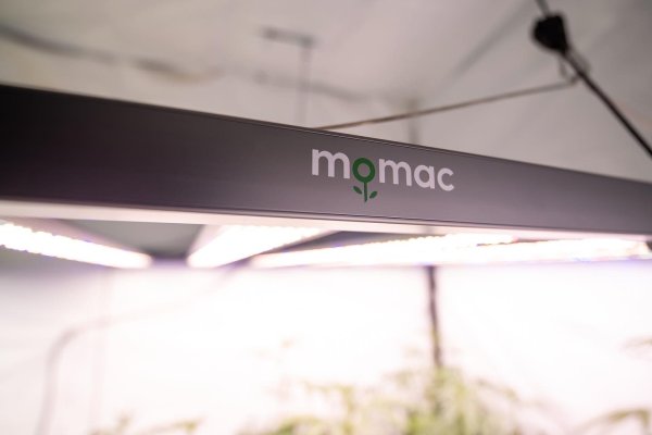 Growers Choice ROI-e720 & Momac Led NRG-SAVR 640 side by side