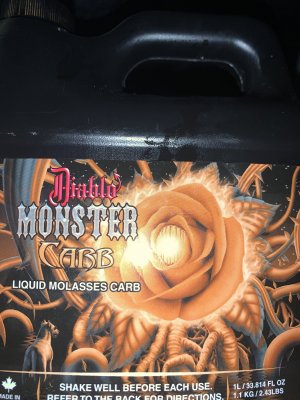 02723672-B8C1-4F9D-B200-06C6D69E9B4D.jpeg
