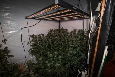 Growers Choice ROI-e720 & Momac Led NRG-SAVR 640 side by side
