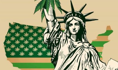 Misleading-Campaign-Marijuana-Legalization-New-York-1.jpg