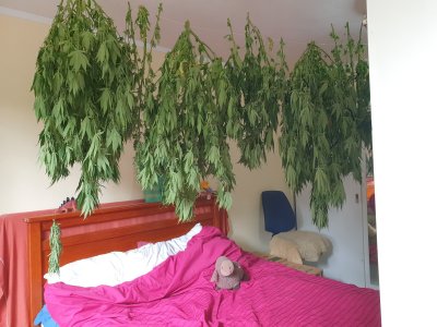 How quick is to quick (drying)