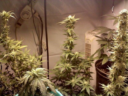 20110125213827.jpg