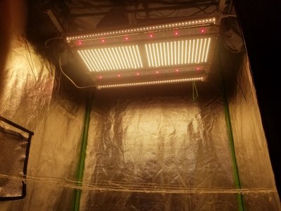 Sources for supplemental lighting. Yeah
