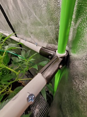 Mac f2 Pheno hunt v1.1