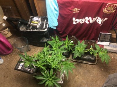 Just saying hello to you all new member I have been looking at this forum for a while now so thought I’d start posting my 2 penneth for what it’s wort