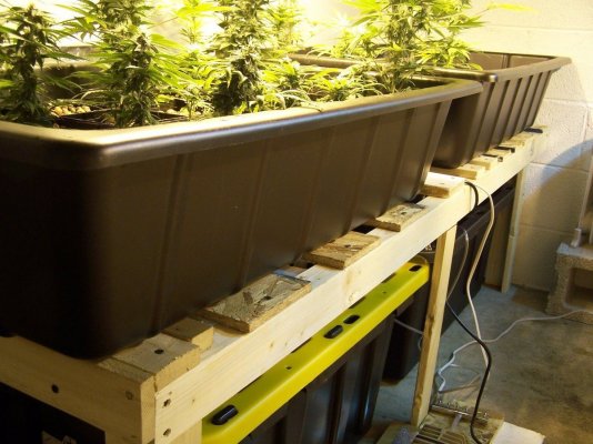 thc-farmer---lab'tory-048.jpg