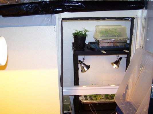 THC farmer - lab'tory 038.JPG