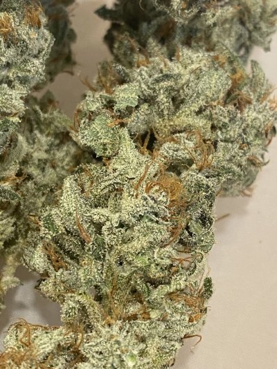 Let's See Your Frostiest Flowers