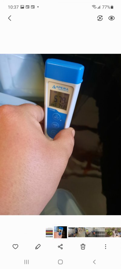 newbie-hydro-help-stunted-growth-2.jpg