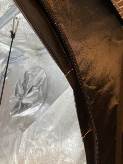 Should I be concerned about pin holes of light I see though my tent?