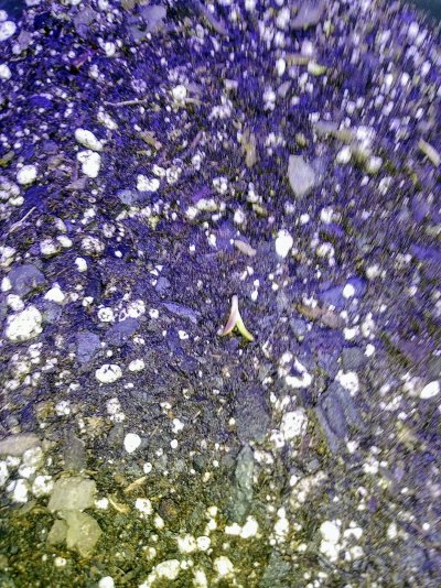 20210517_072750.jpg