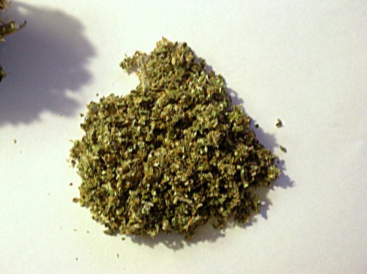 P2010010.JPG