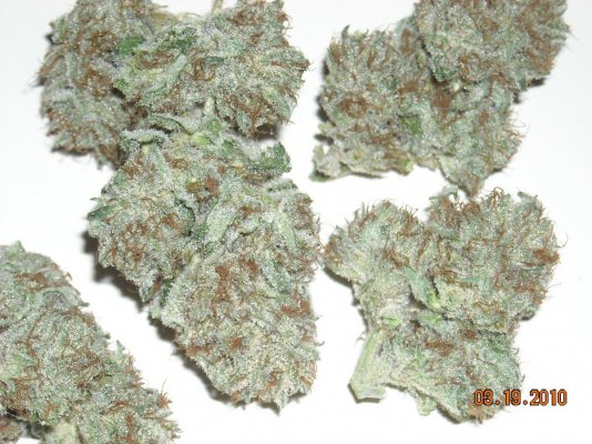Sour Tahoe
