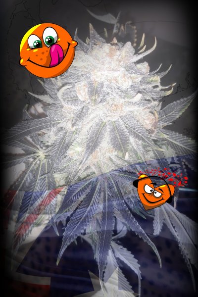 photostudio_1603781905347.jpg