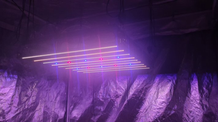 a-diy-led-grow-light-dude-from-australia-2.jpg