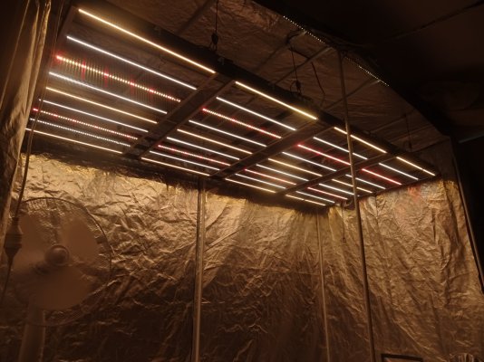 a-diy-led-grow-light-dude-from-australia-3.jpg