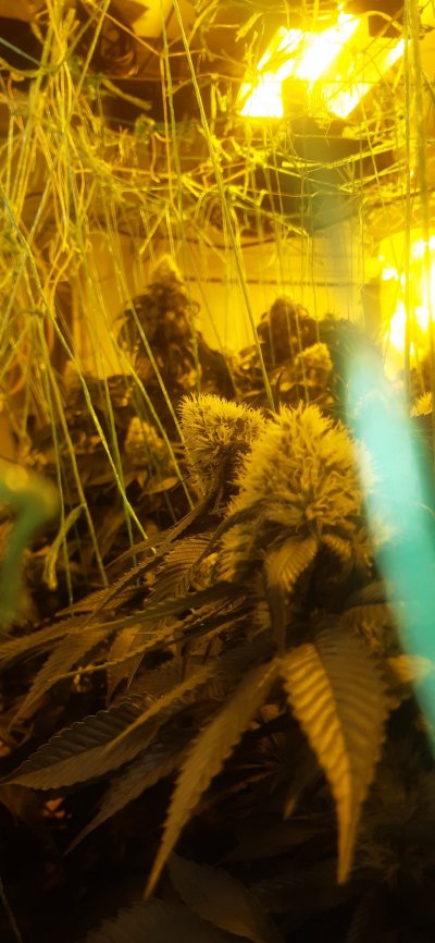 20210602_000443.jpg