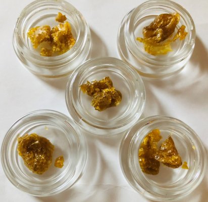 ReeferRons Perpetual Grow Log and other Miscellaneous Stuff